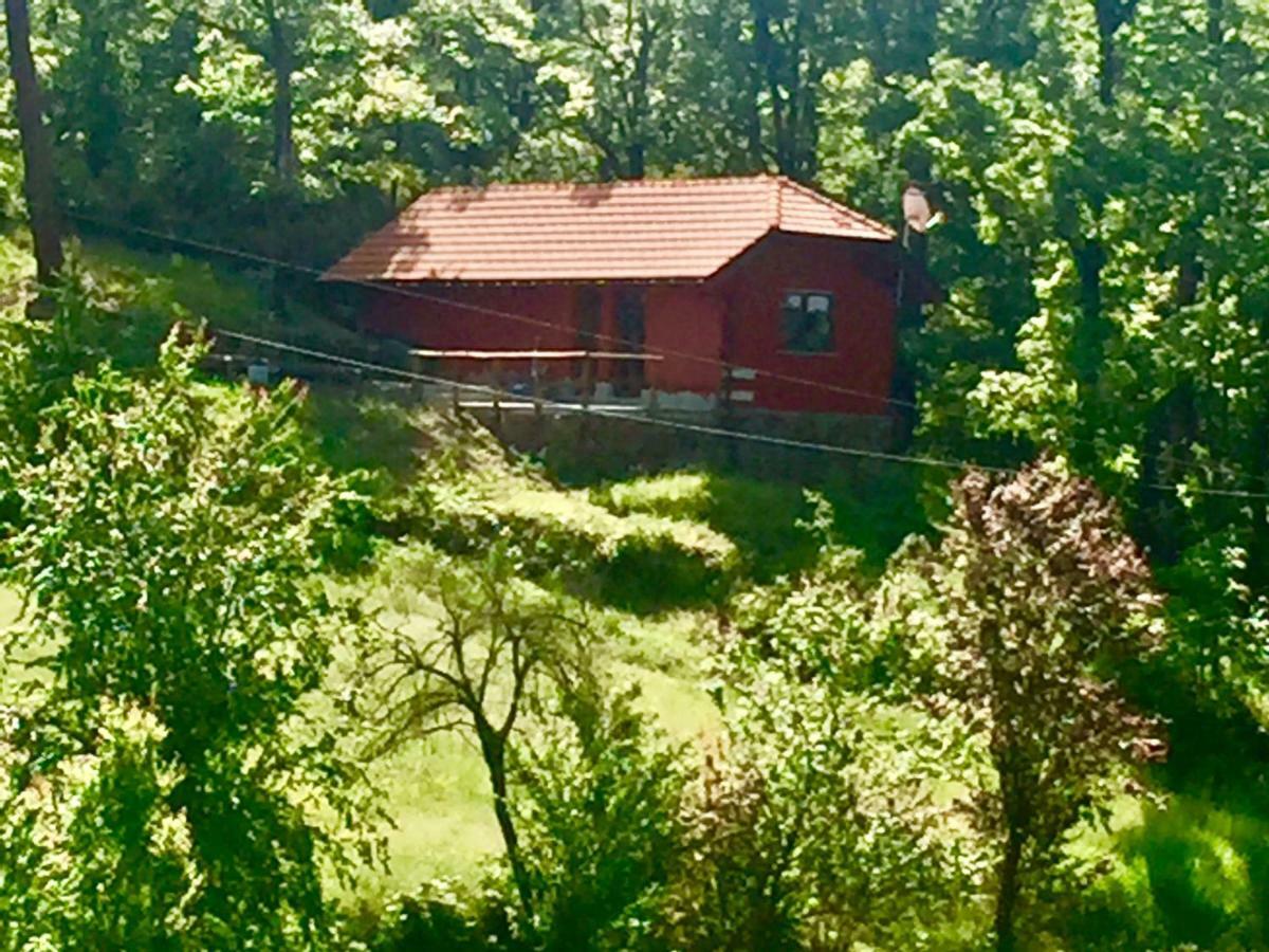 Le Murazze Holiday Houses Ponzone Eksteriør billede